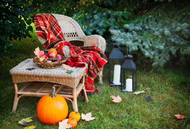 Cum Să Vă Îngrijiți Grădina în Octombrie ca un Profesionist: Ghid Husqvarna pentru Novici