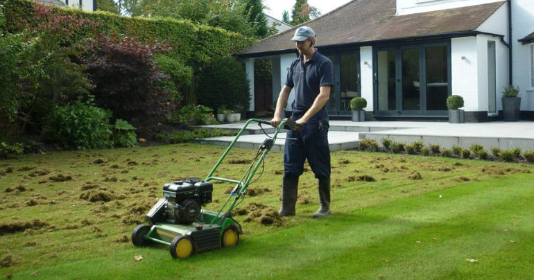 Ce este scarificarea gazonului si cum sa faci acest proces cat mai eficient?