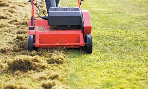 Scarificarea gazonului - Revigorarea si dezvoltarea armonioasa a peluzei - belgarden.ro