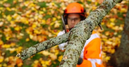 Utilaje de Grădinărit: Investiție sau Cheltuială?