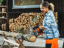 Motoferastrau Husqvarna Cordless 230i 12" (Incarcator 40-C80 si Acumulator 40-B140)