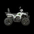 ATV RDB AFB200, 180cc, 4 Timpi
