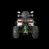 ATV RDB AFB200, 180cc, 4 Timpi