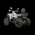 ATV RDB AFB200, 180cc, 4 Timpi