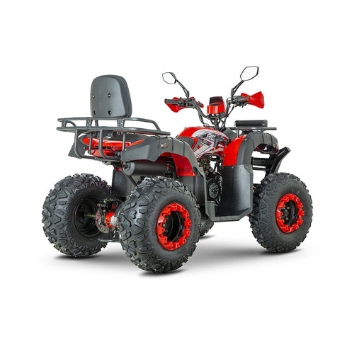 ATV RDB AW200, 180cc, 4 Timpi