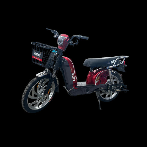 Scuter electric RDB Dunărea 450W