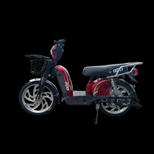 Scuter electric RDB Dunărea 450W