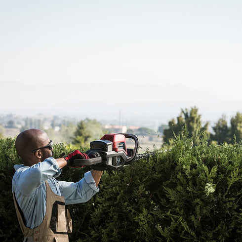 Foarfeca de gard viu cu acumulator HONDA HHH 36 AXB