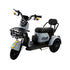 Tricicleta electrica RDB Rabbit, 1000W, 25 km/h, fara permis, 2022