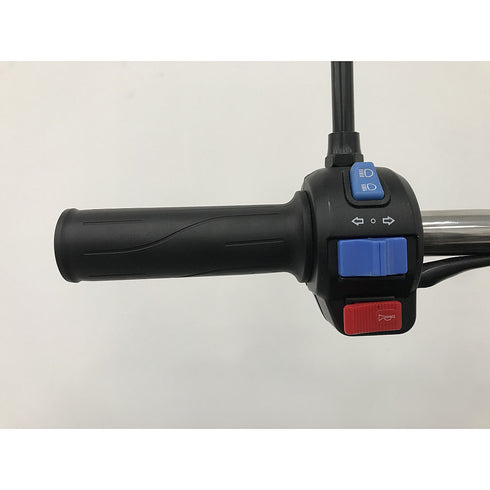 Triciclu electric RDB XL-Klass4, 4000W, 72V 45Ah, 25km/h