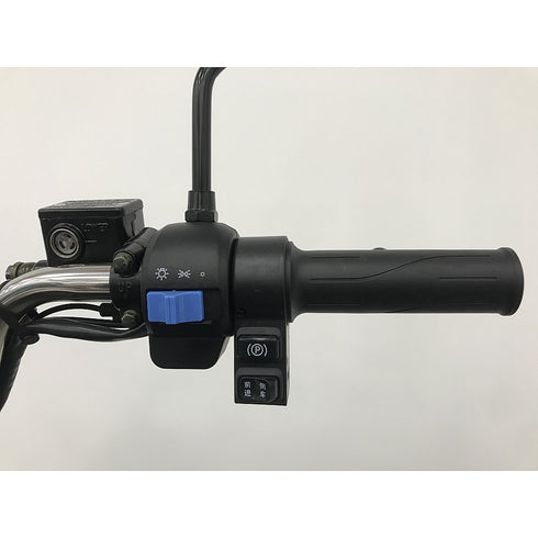 Triciclu electric RDB XL-Klass4, 4000W, 72V 45Ah, 25km/h