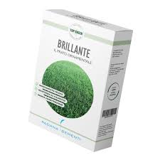 Seminte Padana Brillante 1KG