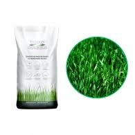 SEMINTE PADANA TURF GREEN SUN SEED 10KG