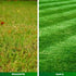 Ingrasamant Foliar GREENBOOST 1L
